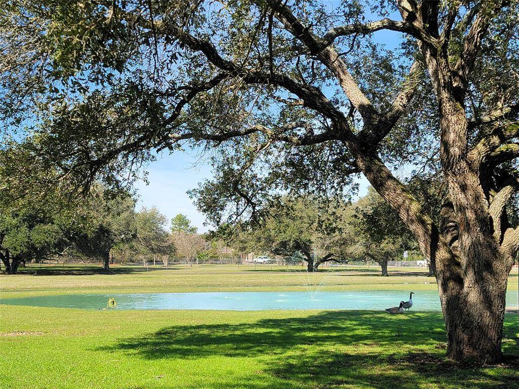 pond looking from back porch towards 2920 road frontage
