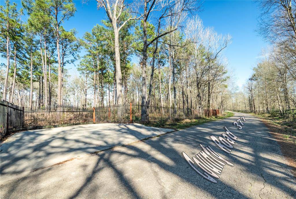 This photo shows a serene, wooded area with a paved road and iron fencing. The surroundings are lush with tall trees, offering a peaceful, private setting ideal for nature lovers.