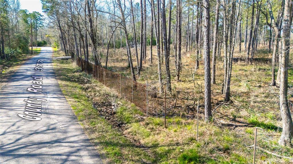 Quiet country road lined with mature trees and a wire fence, offering a serene, natural setting ideal for privacy and tranquility.
