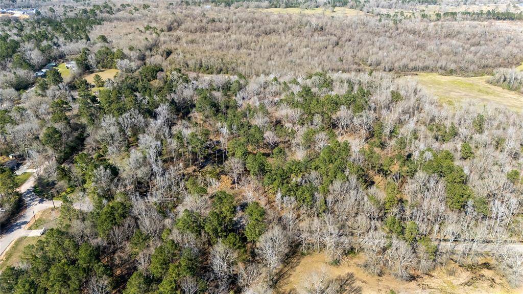 This aerial photo showcases a vast, wooded property, offering a mix of dense trees and open spaces, ideal for privacy and natural surroundings. A few roads can be seen winding through the landscape, providing access to the area.