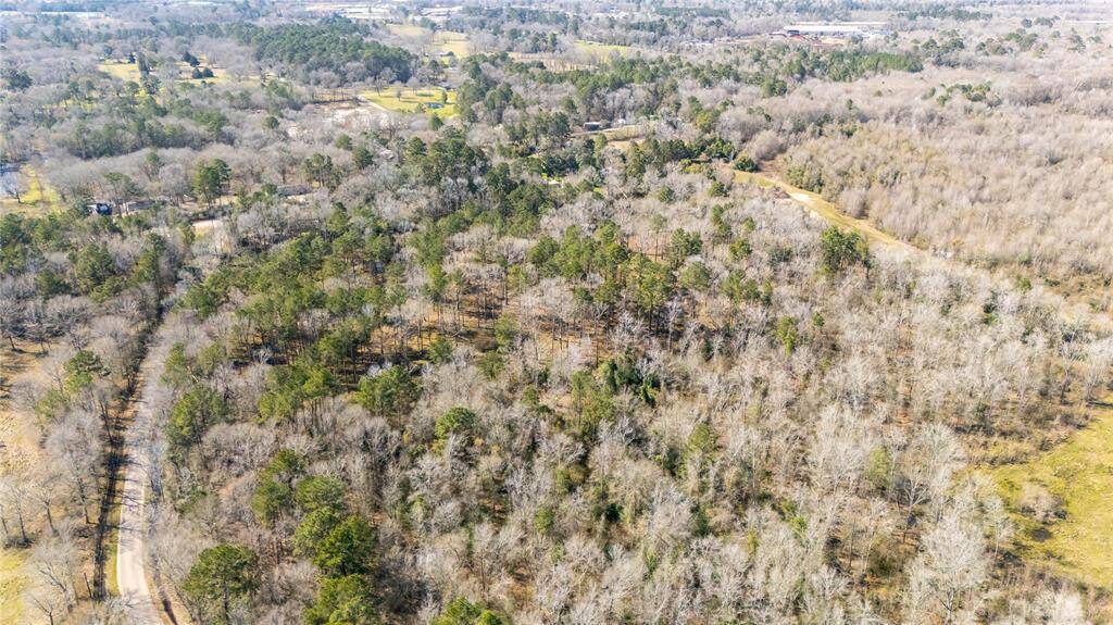 Expansive wooded area ideal for privacy and nature enthusiasts. The landscape features a mix of trees and open spaces, with a winding road providing access. Perfect for a secluded home site.