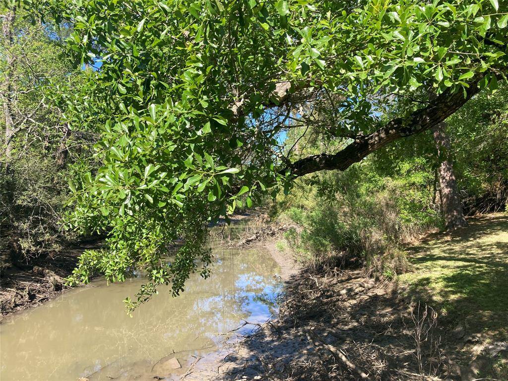 Beautiful bayou front