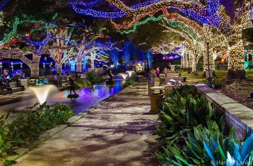The Houston Zoo, home to not just lions and tigers and bears, also has an endless number of Earth's creatures from every continent available for you to come see...