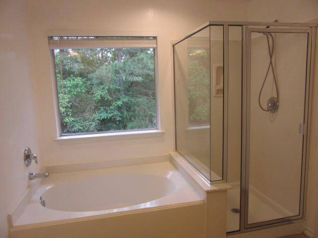 Garden tub and the shower