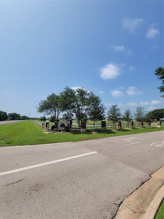 Community filled with nature!