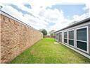 Large side yard for dogs to run