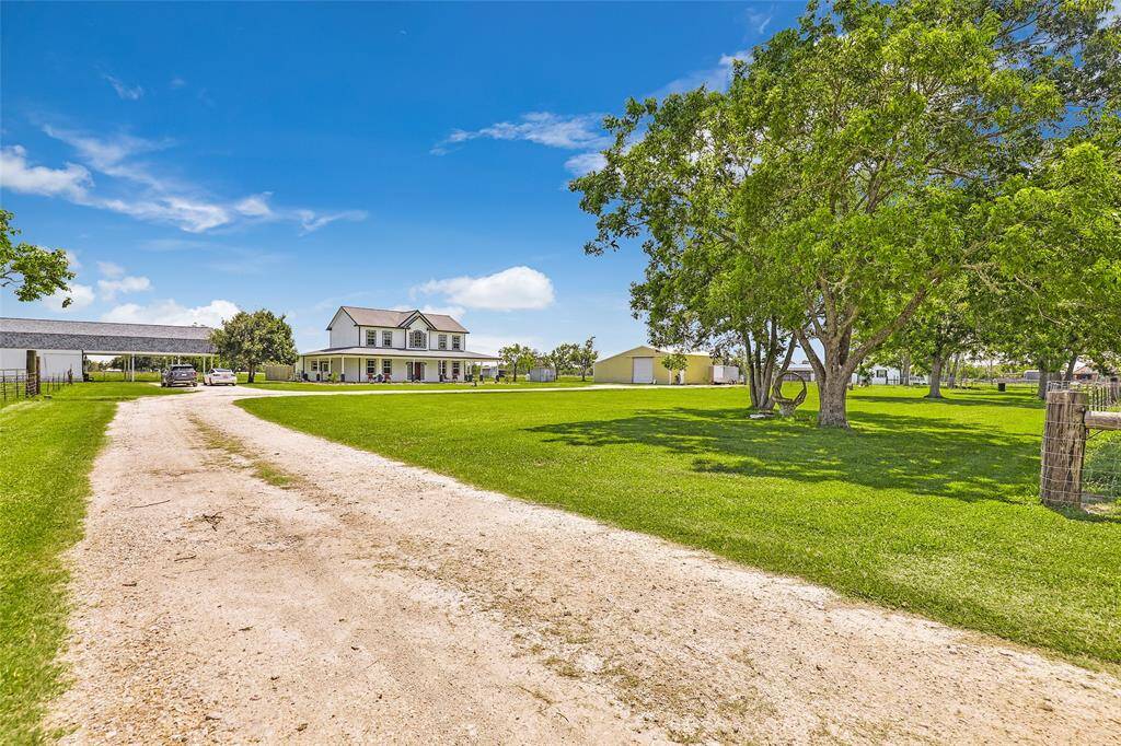 Driveway view