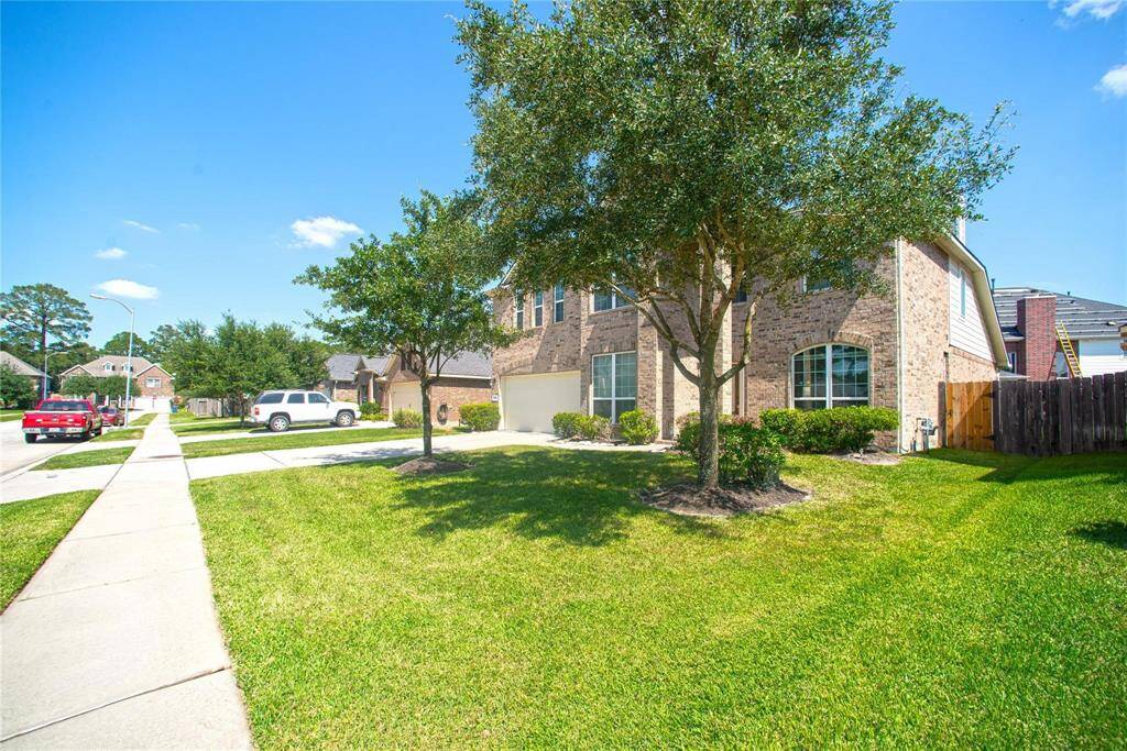 Property Image 42