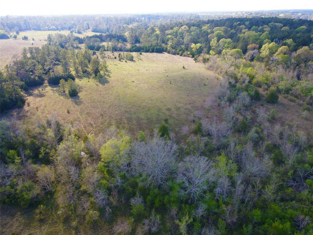 back section of property