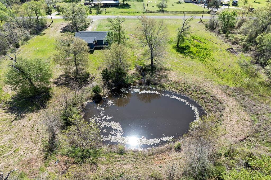 The pond!