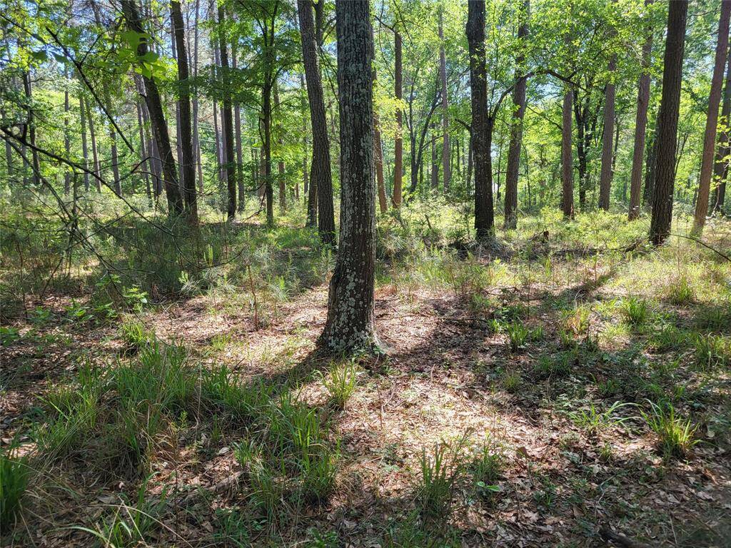 You could apply for timber valuation. Lowers the taxable value.