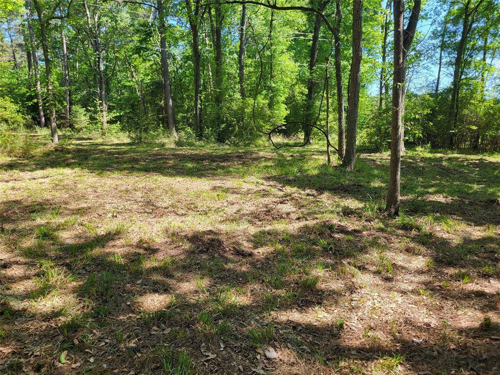 Plenty of privacy in the woods.