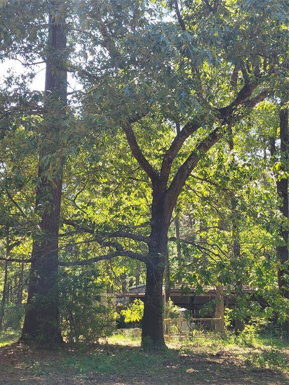 Good timber or a beautiful place for a home.