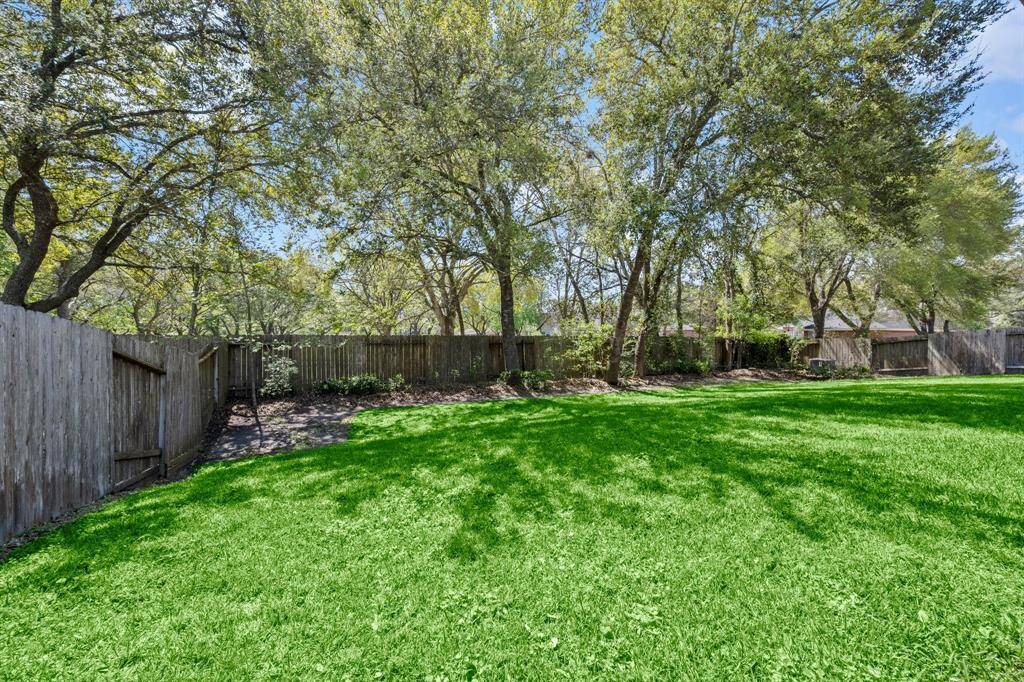 Trees line the back fence.
