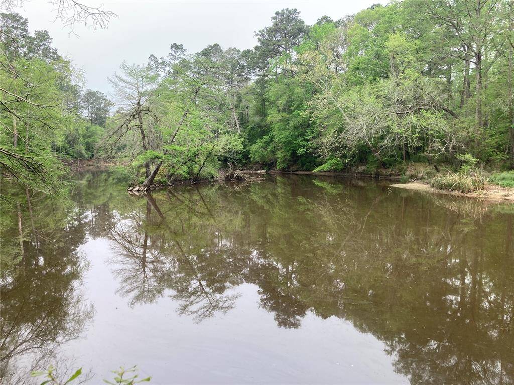 Prettiest waterfront on the Luce Bayou