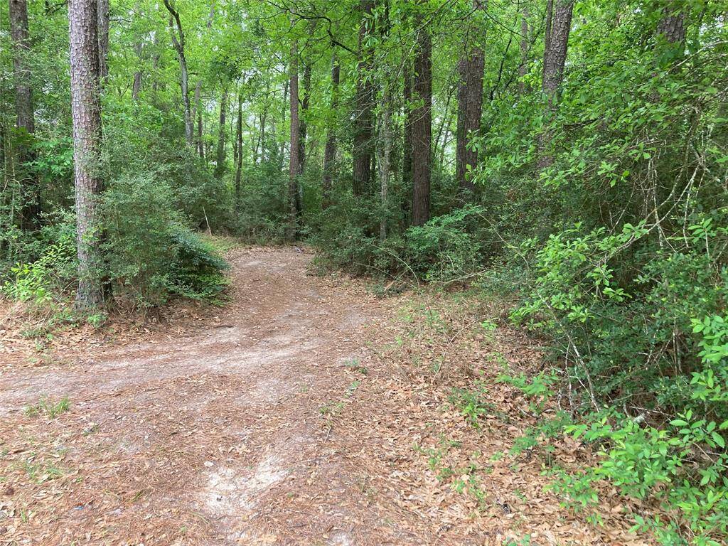 Street corner for Doverbrook and Afton Way, surrounded by lush greenery and tall trees, a peaceful, wooded neighborhood setting.