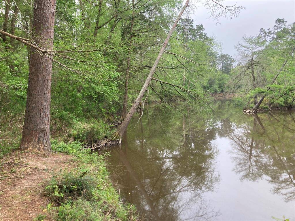 Imagine the crappie