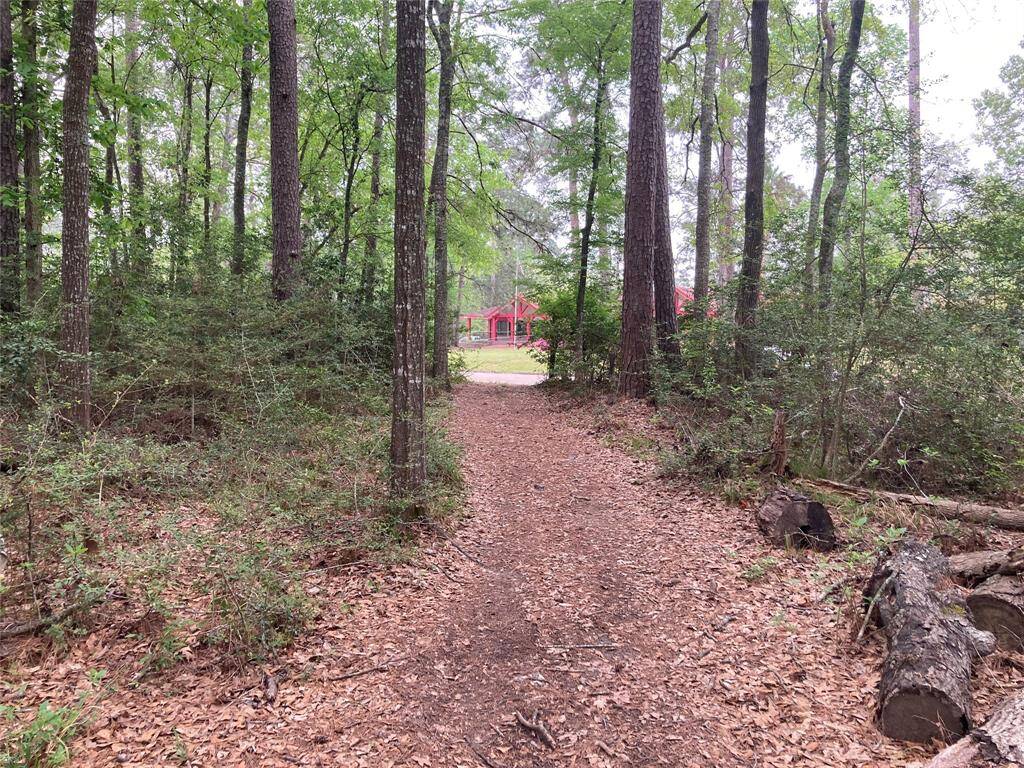Could be a beautiful home site or a commercial property