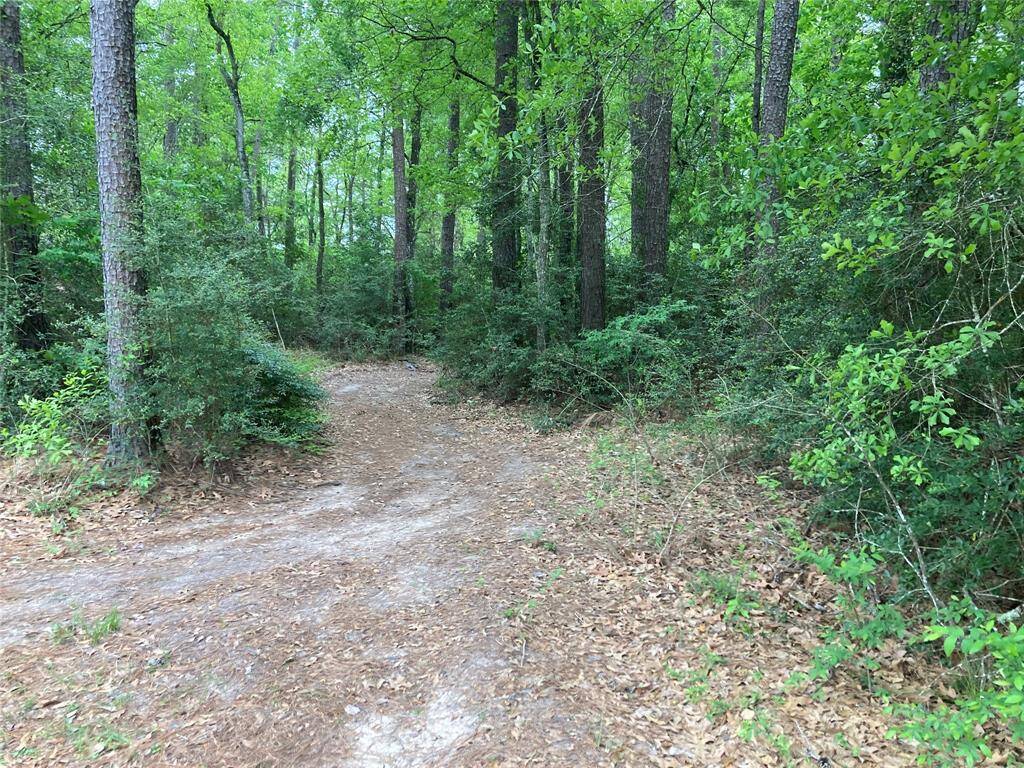 Some trails cleared