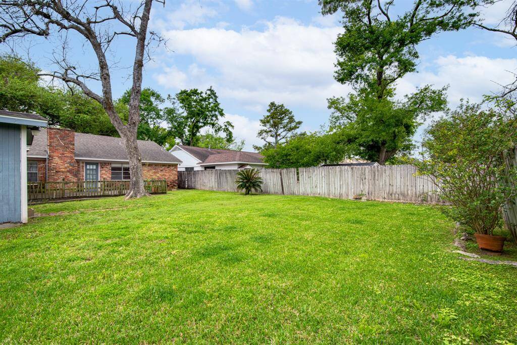 back yard