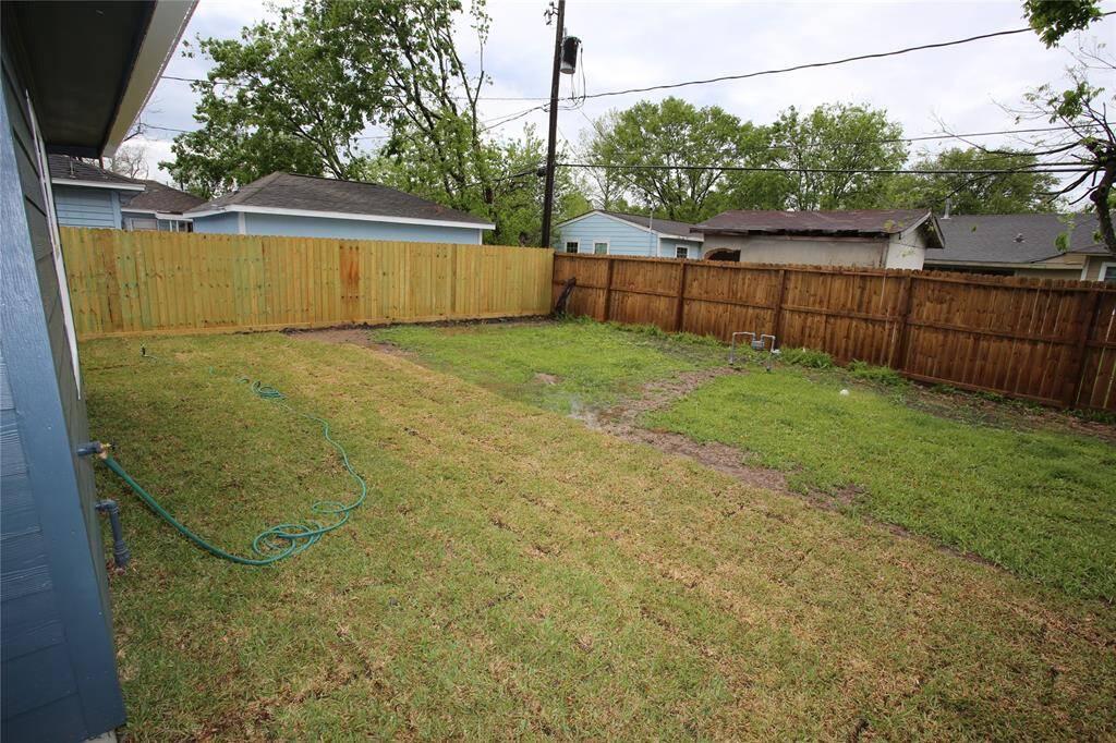 Back Yard