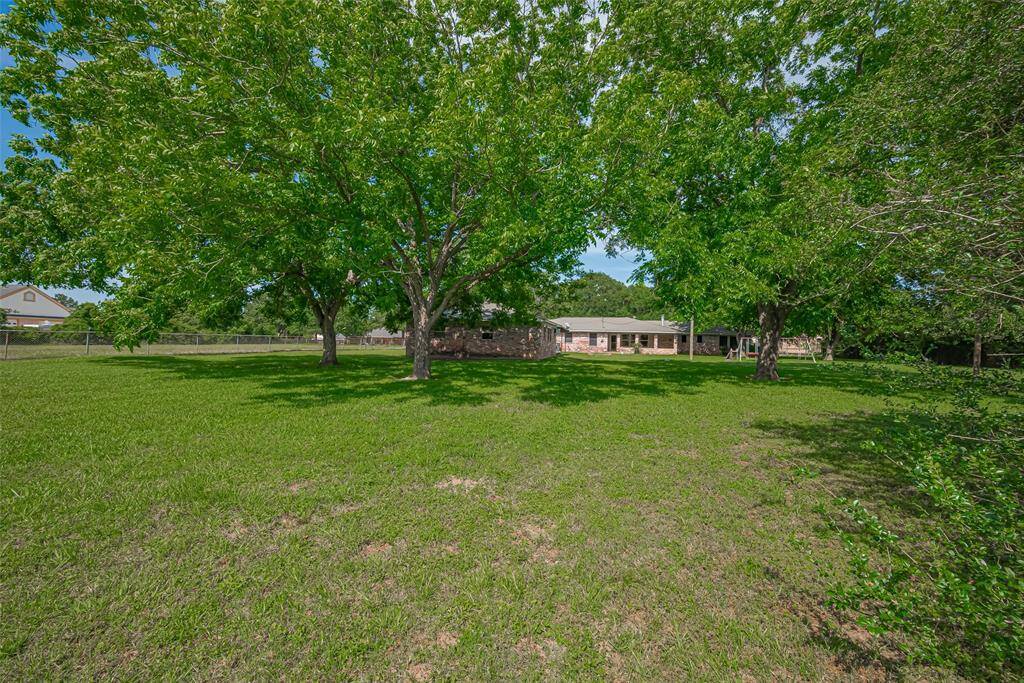 Backyard 1 acre View