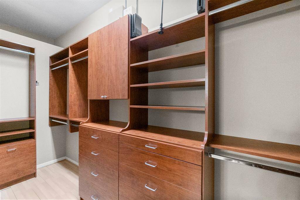 Primary closet Dream