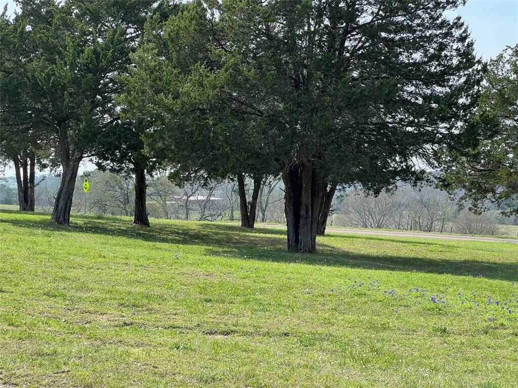 View from south part of property looking at home cluster area.