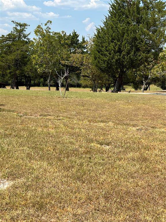 Another view of open feild.