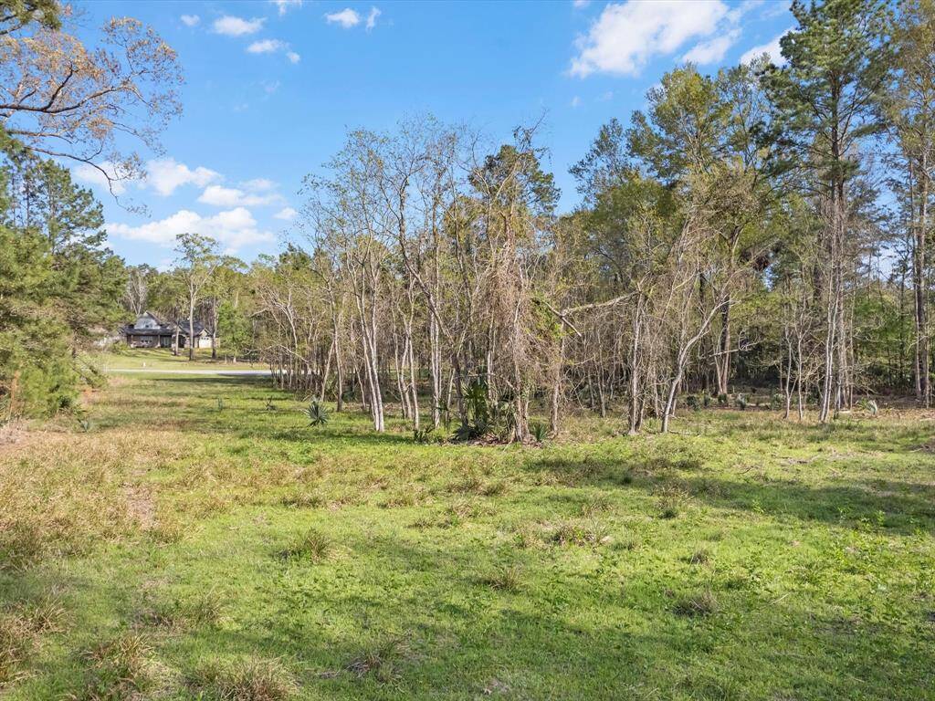 Envision your driveway, leading into your future home, enclosed by the natural surroundings!