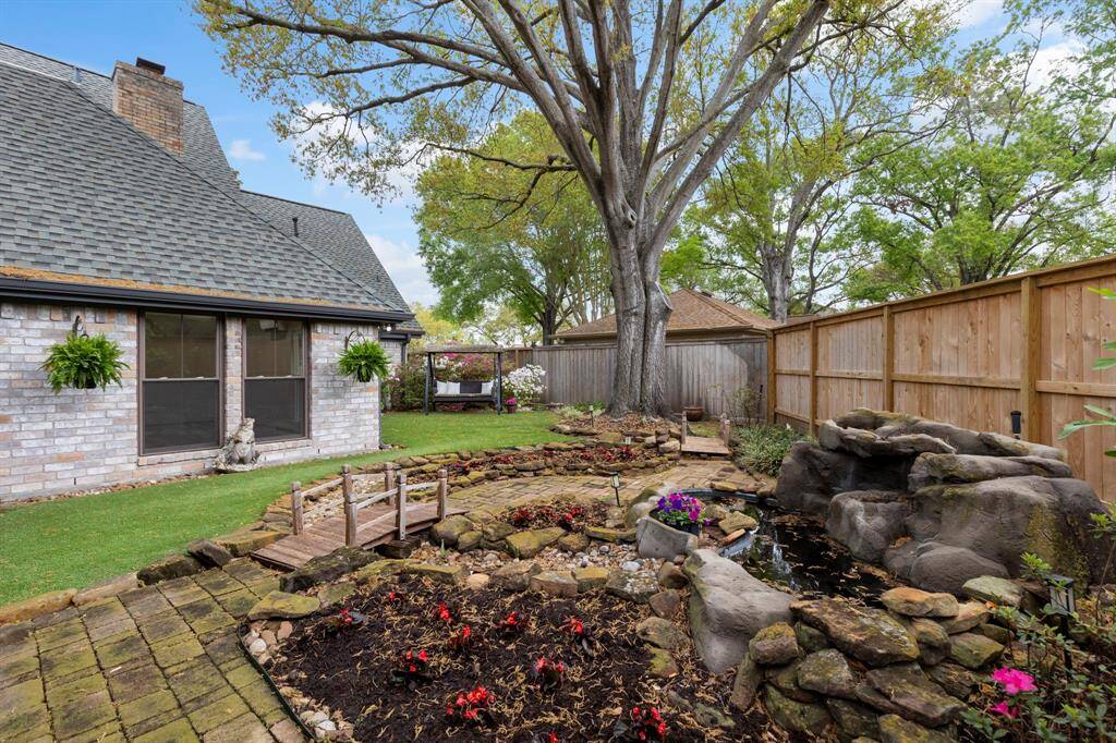 Bakyard water feature