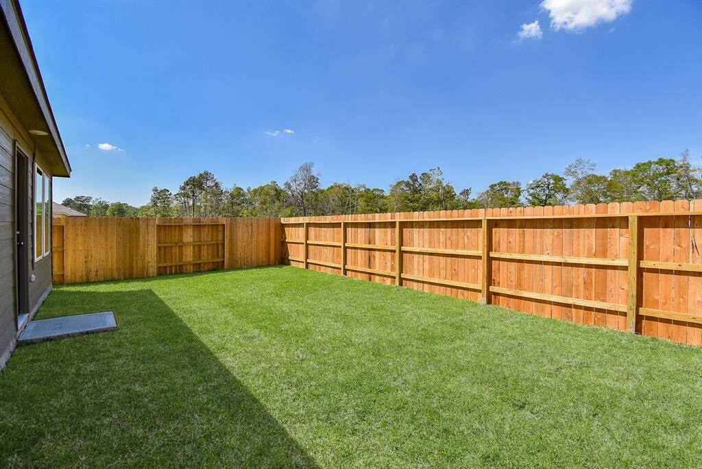Spacious backyard to play andrelax, kick around the soccer ballor BBQ on the weekends!