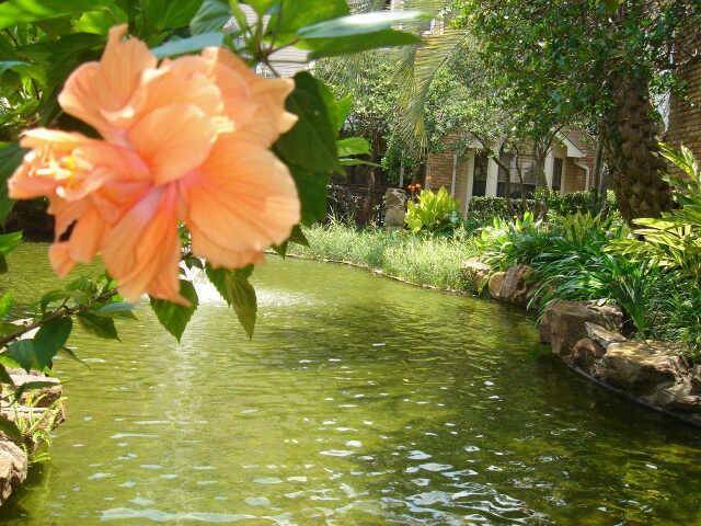 Ponds