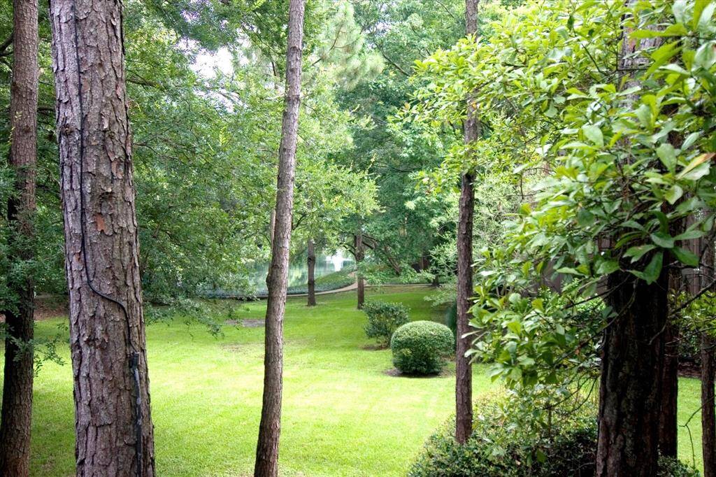 Truly a "wooded oasis" in the heart of Memorial
