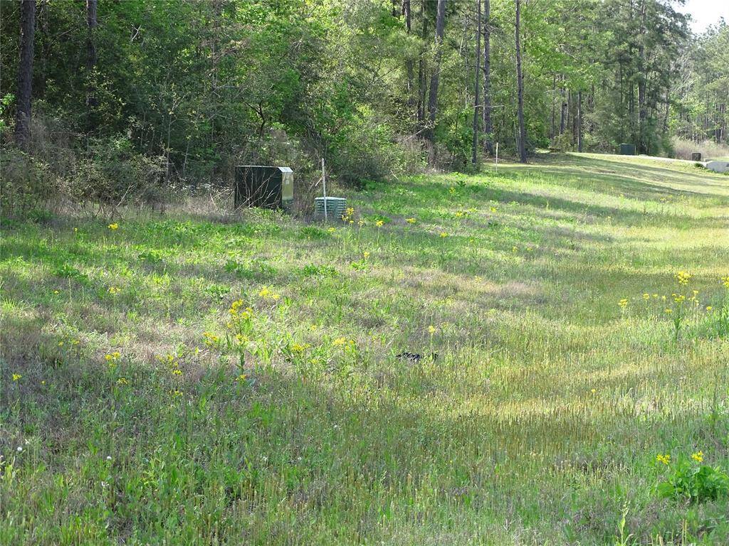 This is the drainage ditch across the propery