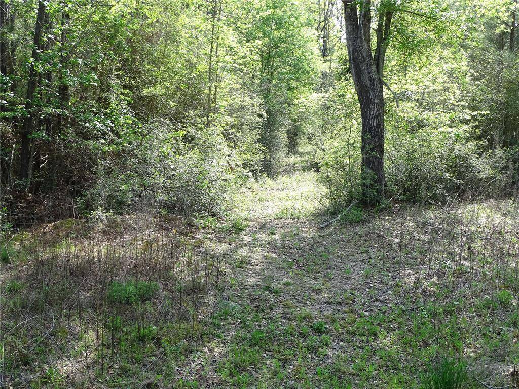 Property continues on other side of ditch