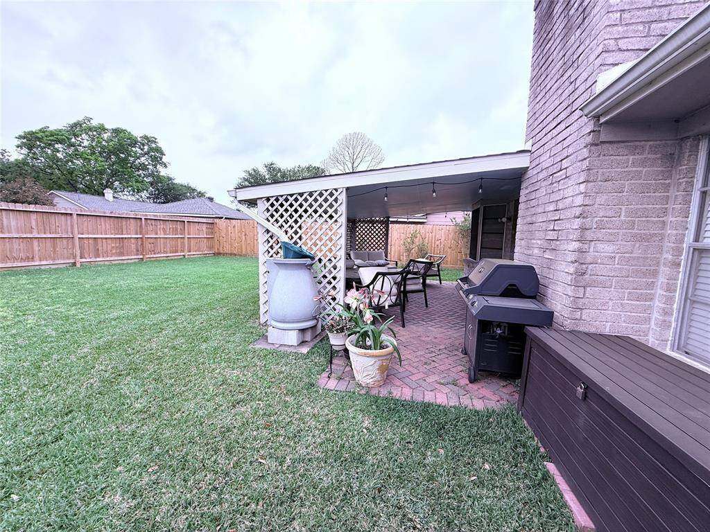 Back yard