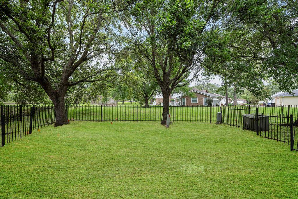 Backyard view