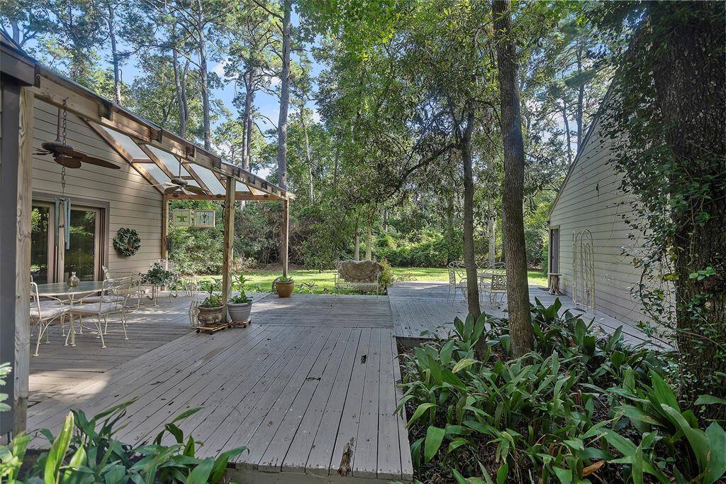 Backyard parties beneath the shade that these trees provide creates just the right ambience for daytime BBQ's on a hot summer day!