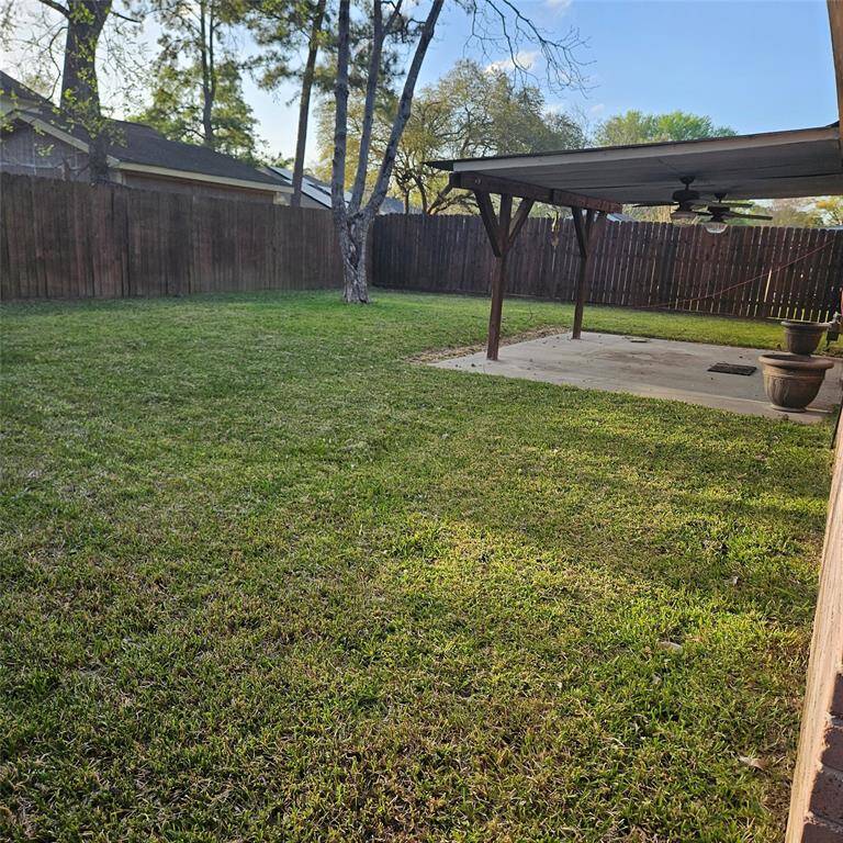 Spacious Backyard