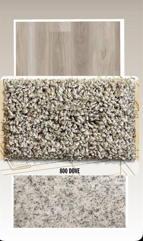 Interior Flooring and Granite