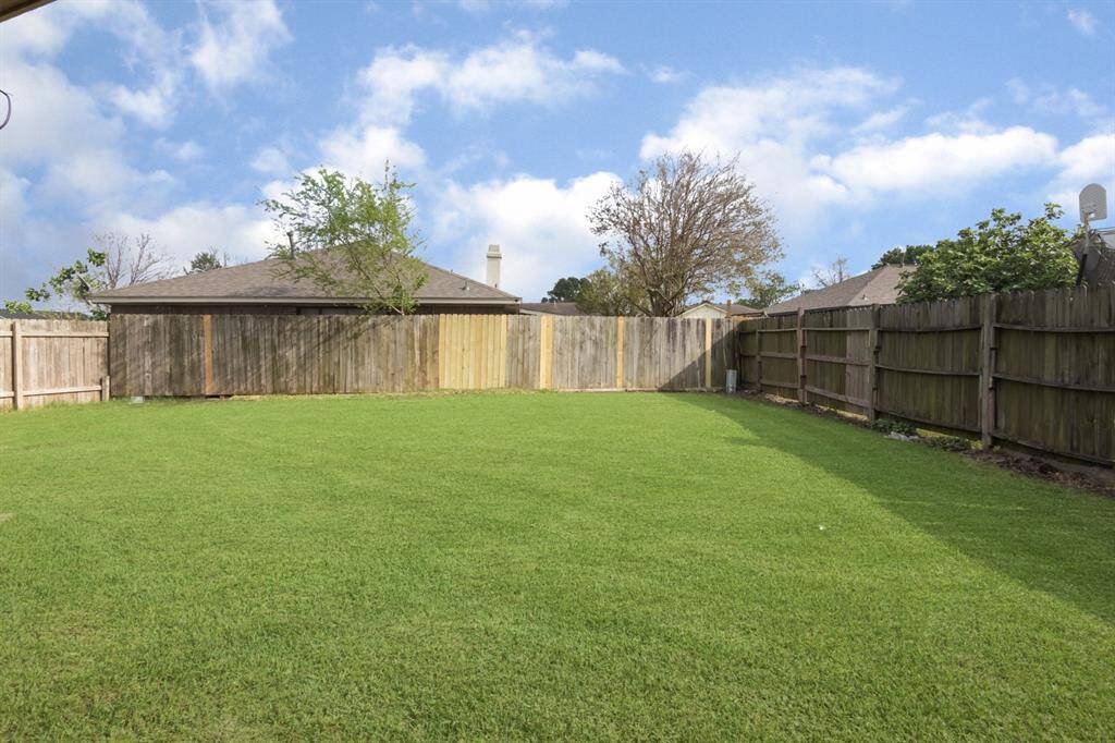 WOW!!! The back yard!