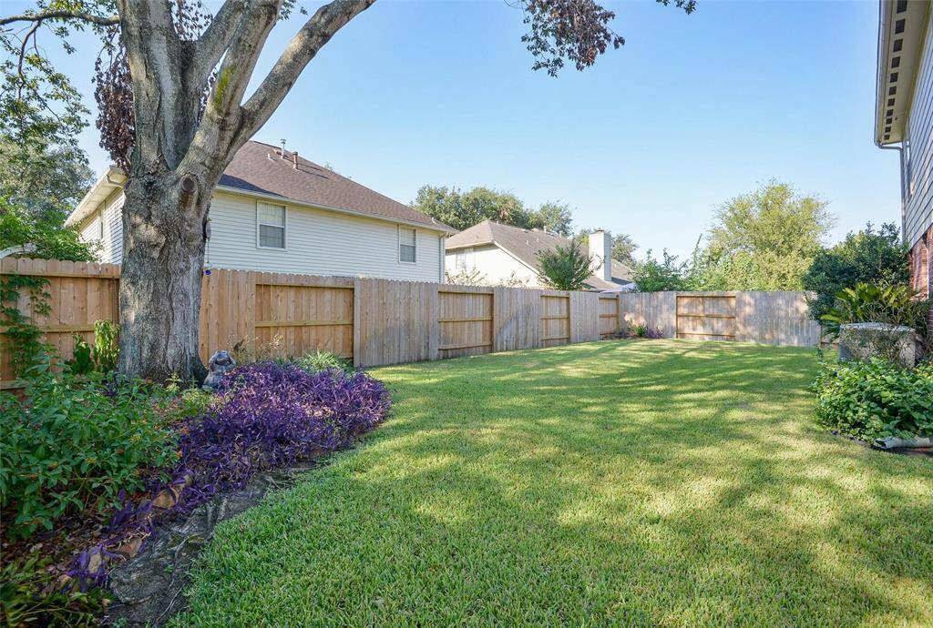 Backyard with New Fence.