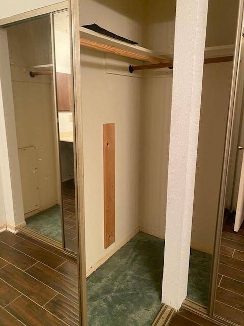 The master closet