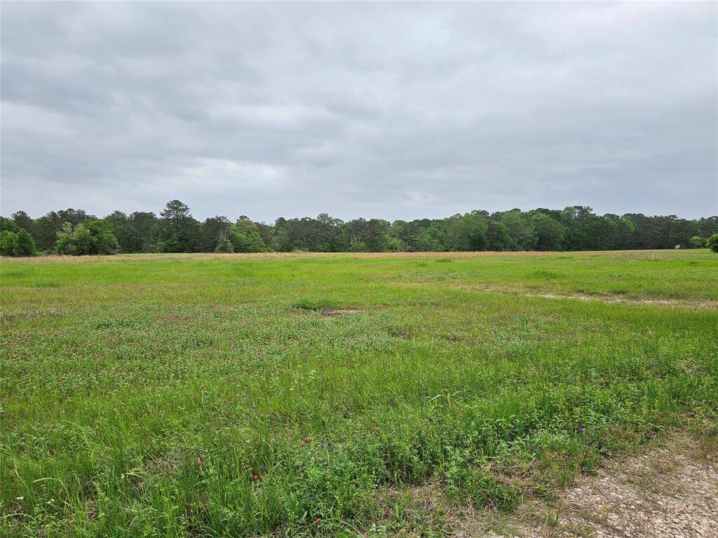 Open level land with AG exemption