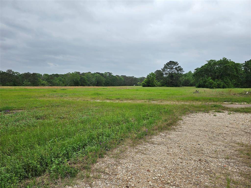 Looking from driveway on property
