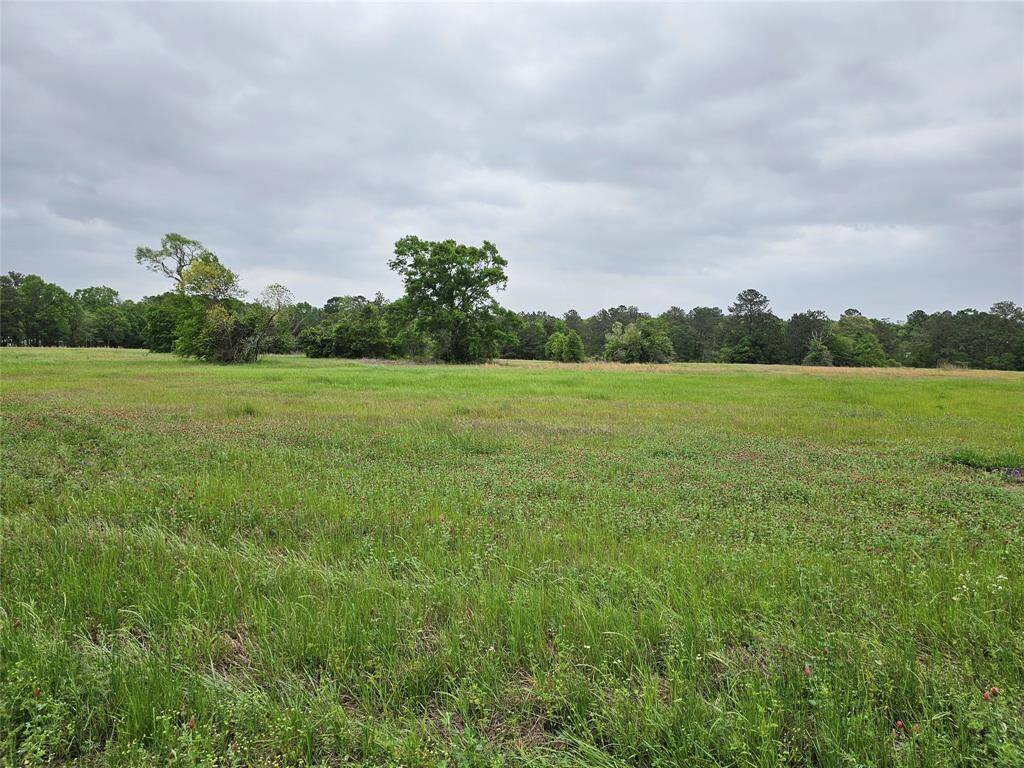 Property line is at the far trees