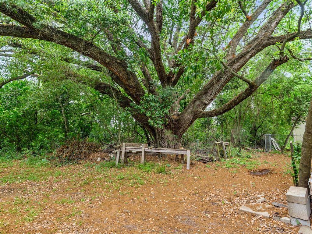 Beautiful Mature Oak tree directly behind the property