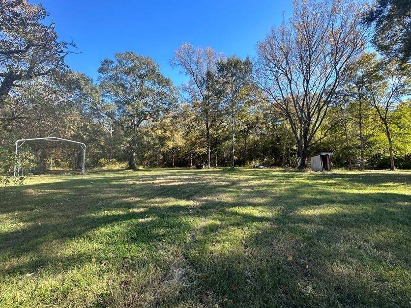 Backyard.