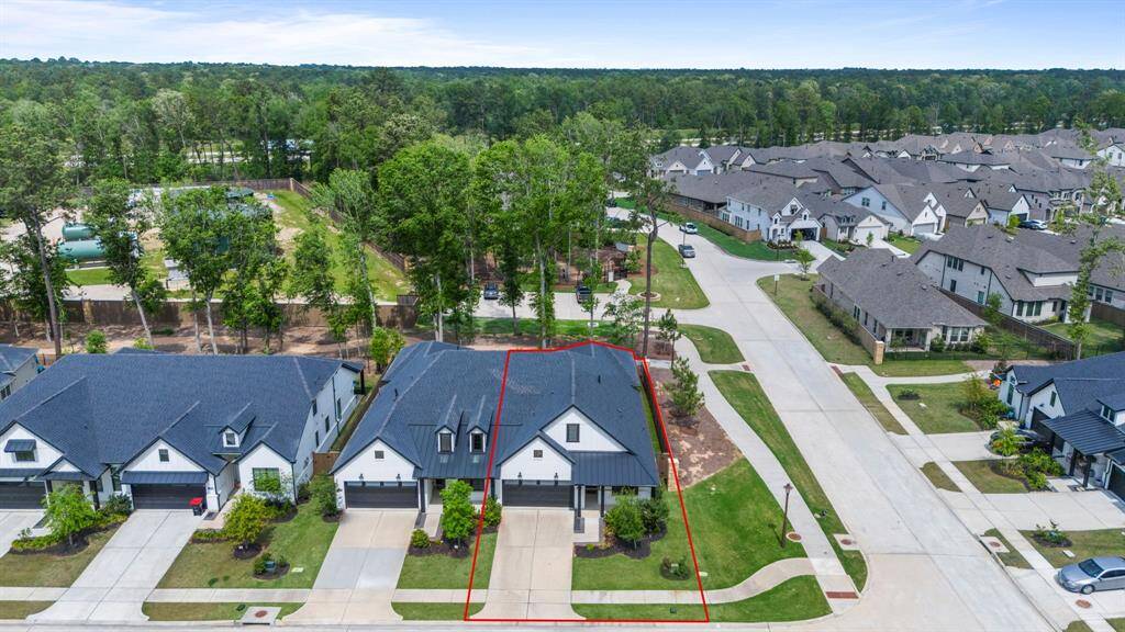 Trees directly behind the property